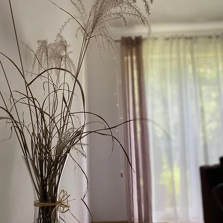 Borkowka 度假居 *