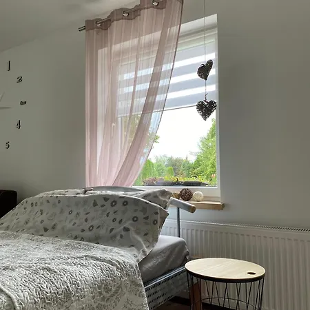 度假居 Borkowka Choczewo