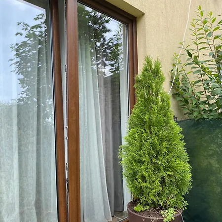 度假居 Borkowka *